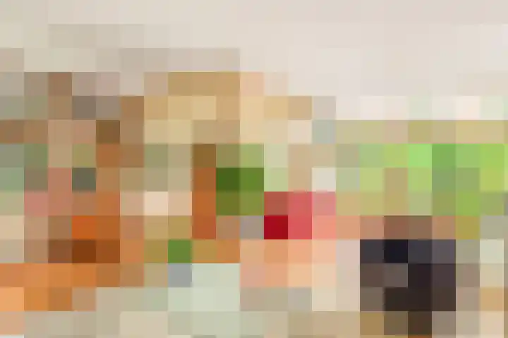 De Nieuwe Plantagie 6 Heiloo thumbnail 16
