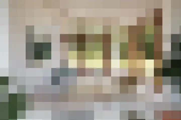 De Nieuwe Plantagie 6 Heiloo thumbnail 18