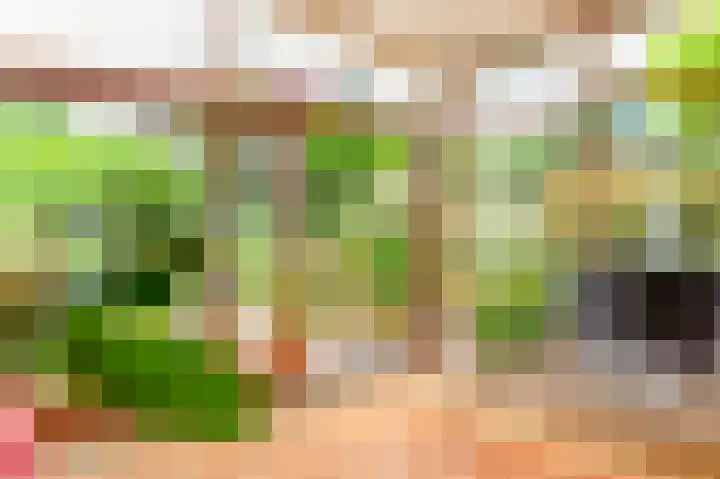 De Nieuwe Plantagie 6 Heiloo thumbnail 19