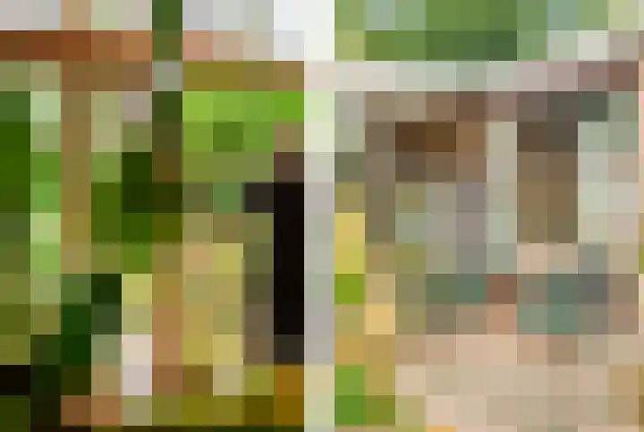 De Nieuwe Plantagie 6 Heiloo thumbnail 20