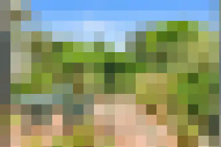 De Nieuwe Plantagie 6 Heiloo thumbnail 21
