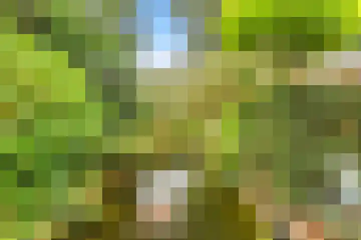 De Nieuwe Plantagie 6 Heiloo thumbnail 22