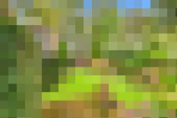 De Nieuwe Plantagie 6 Heiloo thumbnail 24