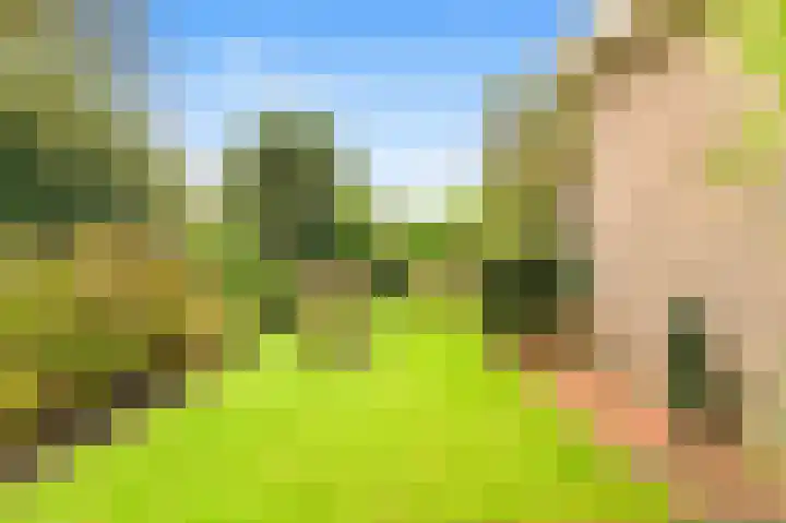 De Nieuwe Plantagie 6 Heiloo thumbnail 25