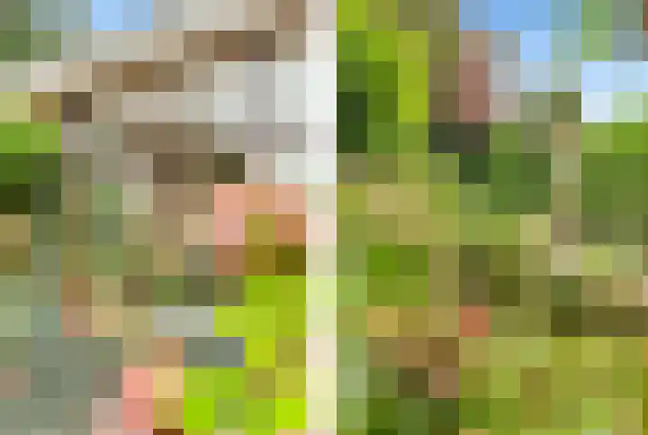 De Nieuwe Plantagie 6 Heiloo thumbnail 26