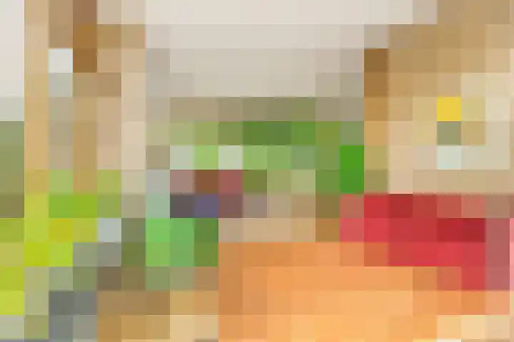 De Nieuwe Plantagie 6 Heiloo thumbnail 27