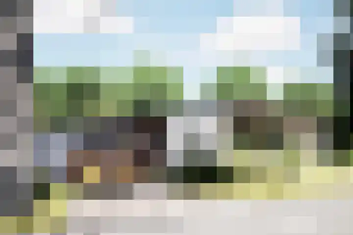 De Nieuwe Plantagie 6 Heiloo foto 3