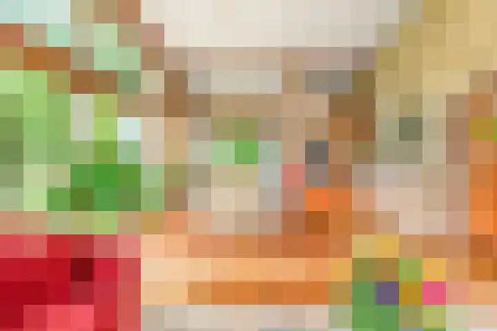 De Nieuwe Plantagie 6 Heiloo thumbnail 30