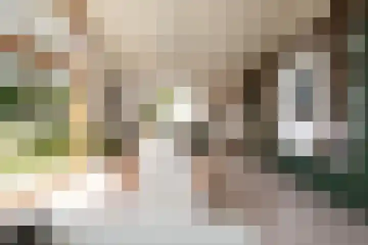 De Nieuwe Plantagie 6 Heiloo thumbnail 31