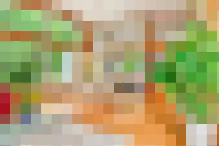 De Nieuwe Plantagie 6 Heiloo thumbnail 32