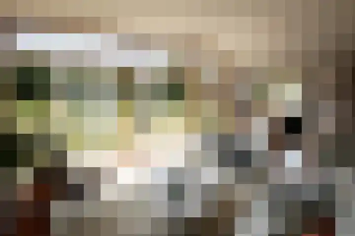 De Nieuwe Plantagie 6 Heiloo thumbnail 33