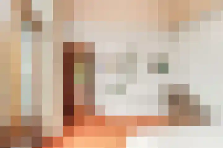 De Nieuwe Plantagie 6 Heiloo thumbnail 34