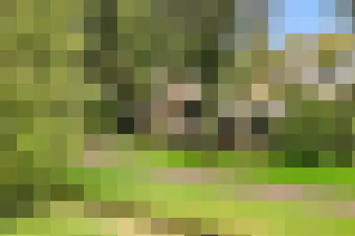 De Nieuwe Plantagie 6 Heiloo thumbnail 4
