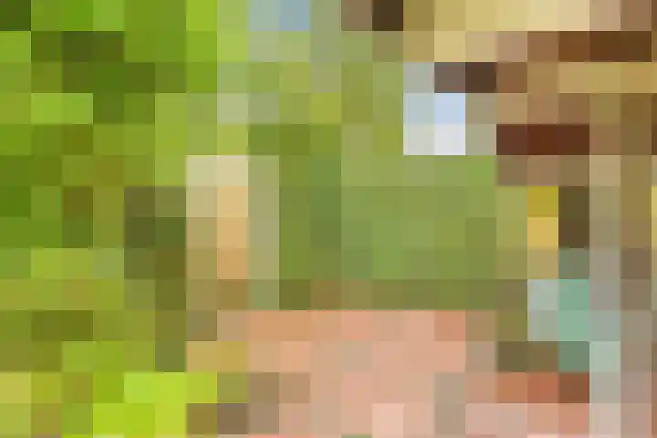 De Nieuwe Plantagie 6 Heiloo thumbnail 45