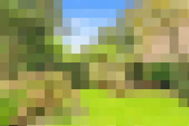 De Nieuwe Plantagie 6 Heiloo thumbnail 46