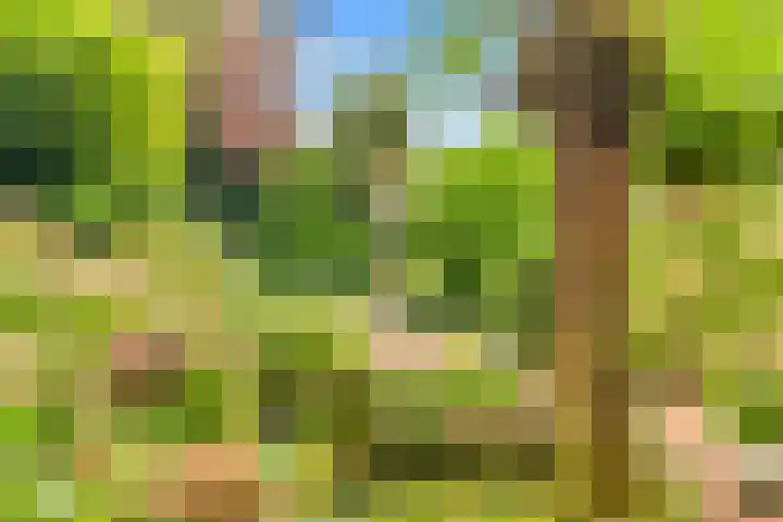 De Nieuwe Plantagie 6 Heiloo thumbnail 47