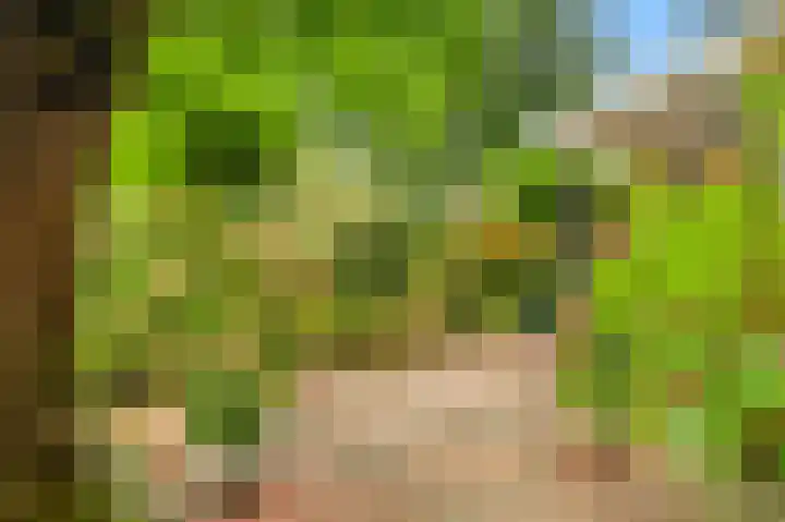 De Nieuwe Plantagie 6 Heiloo thumbnail 48