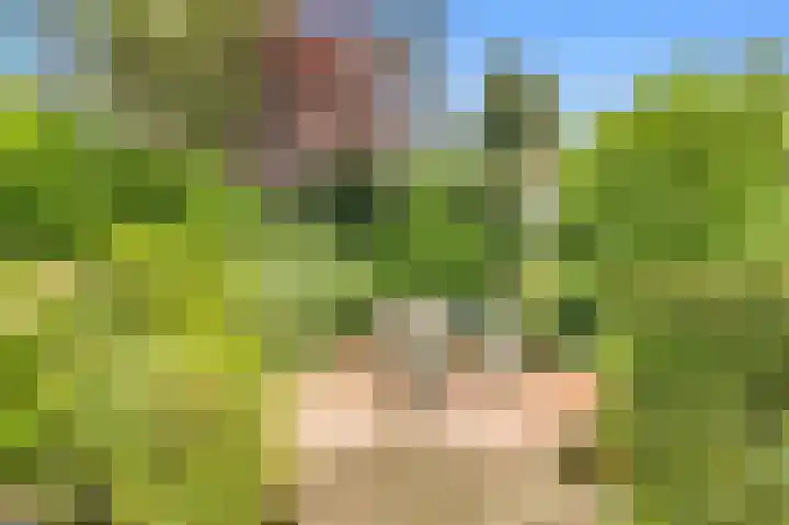 De Nieuwe Plantagie 6 Heiloo thumbnail 49