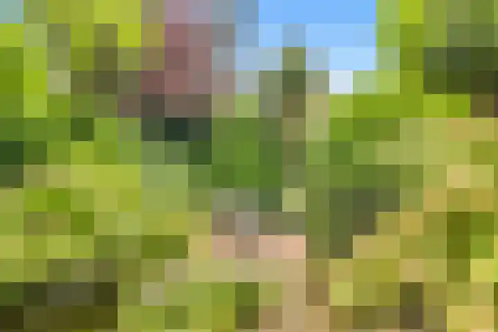 De Nieuwe Plantagie 6 Heiloo thumbnail 5