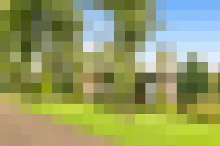 De Nieuwe Plantagie 6 Heiloo thumbnail 50