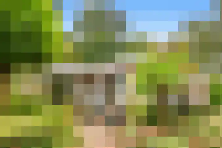 De Nieuwe Plantagie 6 Heiloo thumbnail 51