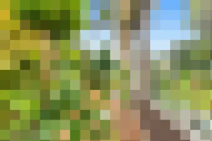 De Nieuwe Plantagie 6 Heiloo thumbnail 52