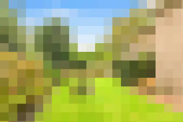 De Nieuwe Plantagie 6 Heiloo thumbnail 53