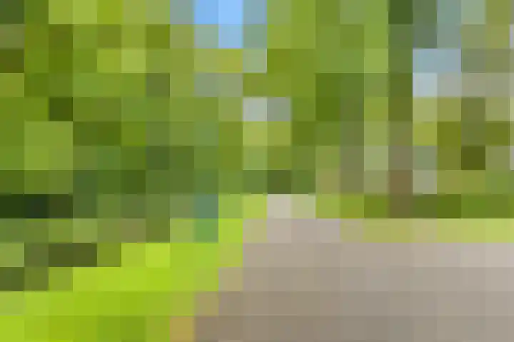 De Nieuwe Plantagie 6 Heiloo thumbnail 54