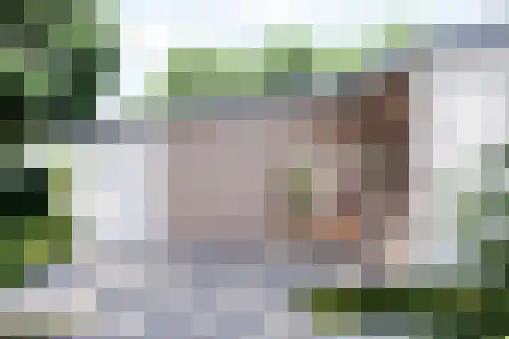 De Nieuwe Plantagie 6 Heiloo thumbnail 56