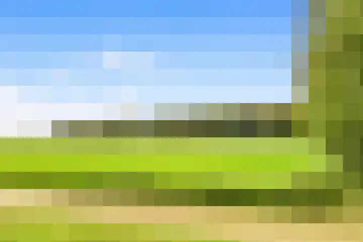 De Nieuwe Plantagie 6 Heiloo thumbnail 57