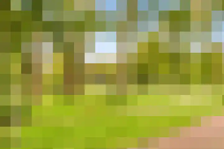 De Nieuwe Plantagie 6 Heiloo thumbnail 58