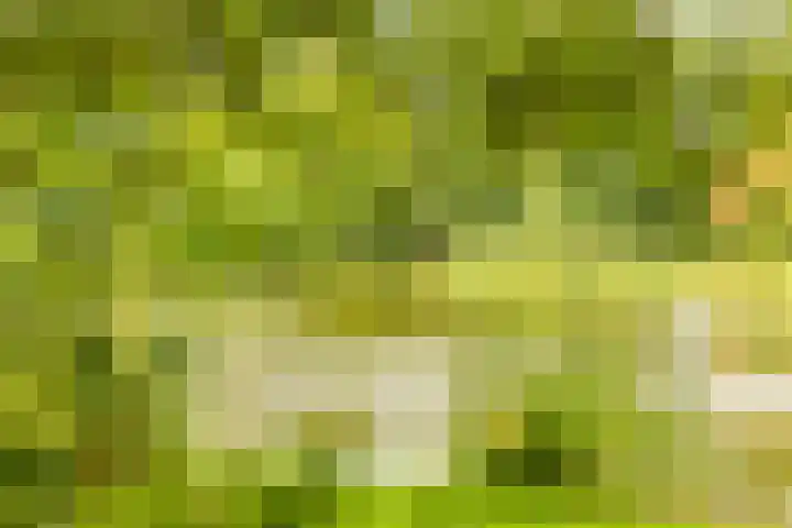 De Nieuwe Plantagie 6 Heiloo thumbnail 60