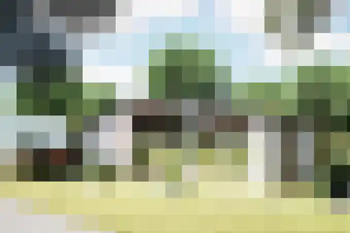 De Nieuwe Plantagie 6 Heiloo thumbnail 62