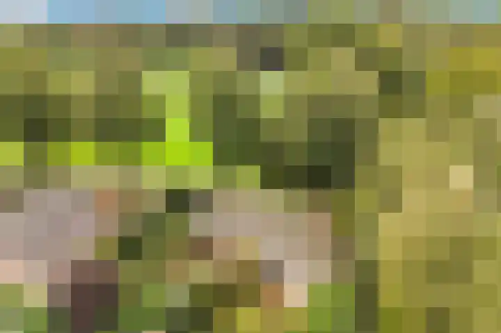 De Nieuwe Plantagie 6 Heiloo thumbnail 63