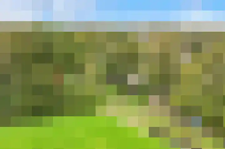 De Nieuwe Plantagie 6 Heiloo thumbnail 65