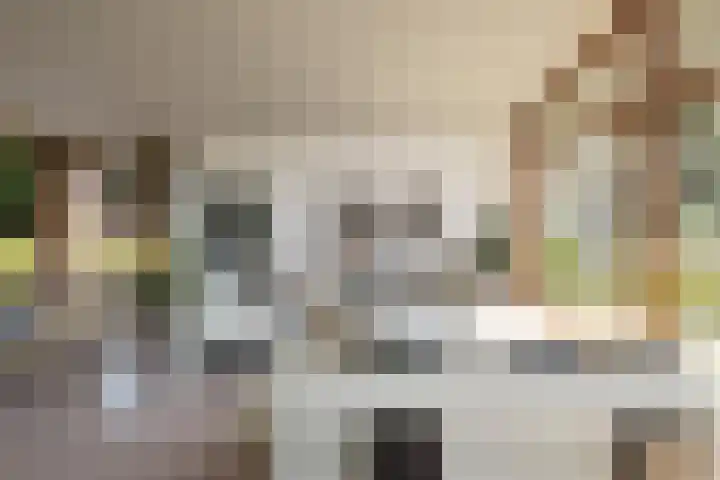 De Nieuwe Plantagie 6 Heiloo thumbnail 9