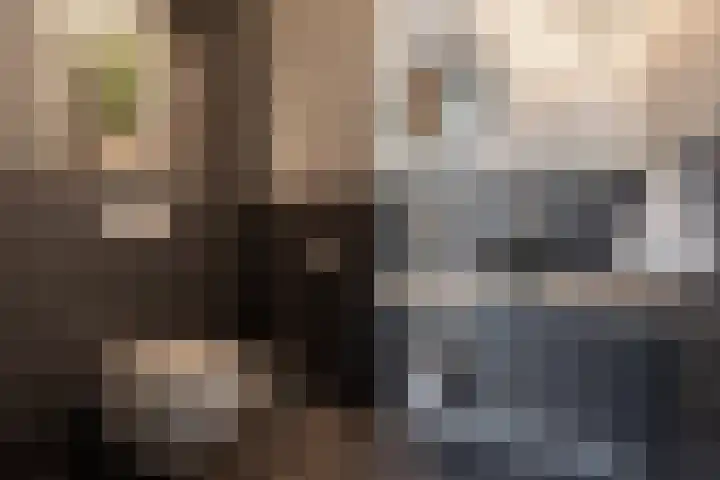 De Nieuwe Ploeg 7 Berlicum thumbnail 11