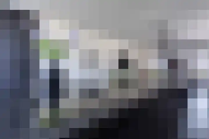 De Nieuwe Ploeg 7 Berlicum thumbnail 13