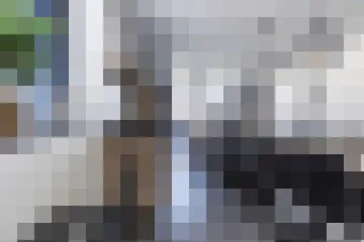 De Nieuwe Ploeg 7 Berlicum thumbnail 14