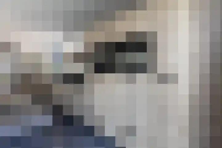 De Nieuwe Ploeg 7 Berlicum thumbnail 15