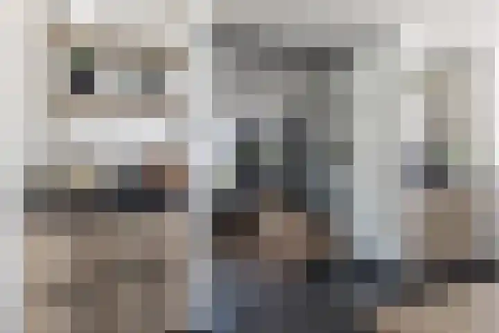 De Nieuwe Ploeg 7 Berlicum thumbnail 17