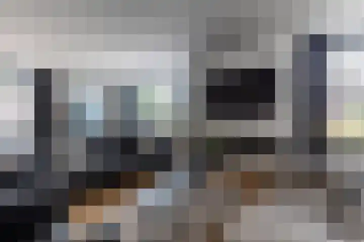 De Nieuwe Ploeg 7 Berlicum thumbnail 19