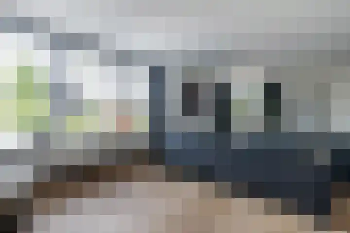 De Nieuwe Ploeg 7 Berlicum thumbnail 20