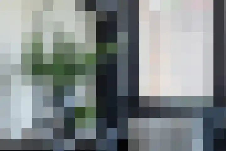 De Nieuwe Ploeg 7 Berlicum thumbnail 22