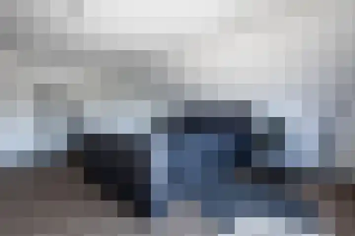 De Nieuwe Ploeg 7 Berlicum thumbnail 26