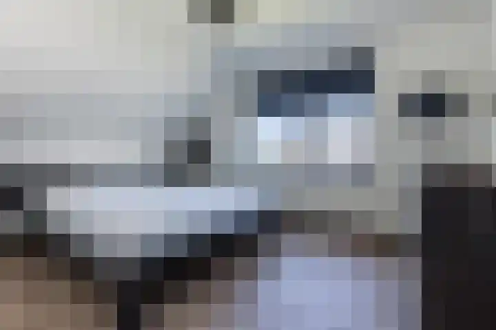 De Nieuwe Ploeg 7 Berlicum thumbnail 29