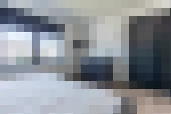 De Nieuwe Ploeg 7 Berlicum thumbnail 30