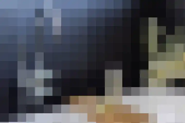 De Nieuwe Ploeg 7 Berlicum thumbnail 35