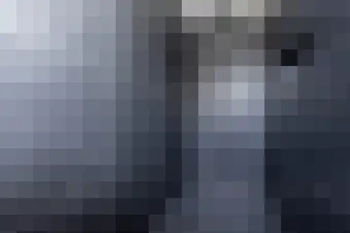 De Nieuwe Ploeg 7 Berlicum thumbnail 37