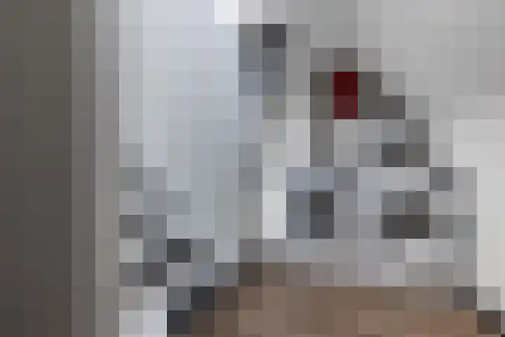 De Nieuwe Ploeg 7 Berlicum thumbnail 39
